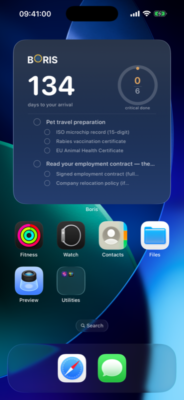 Home Screen Widget